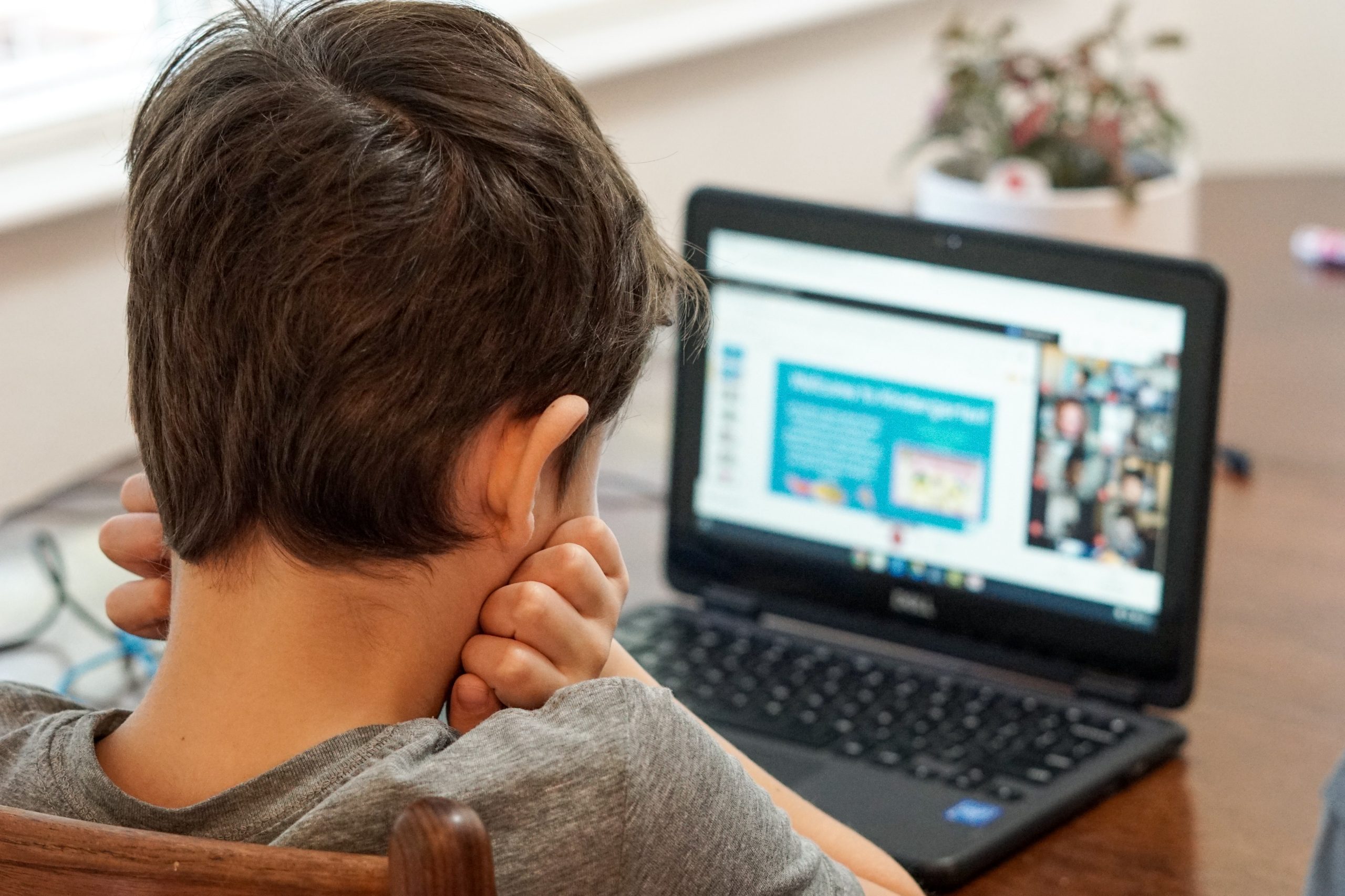 Young Boy staring at a laptop