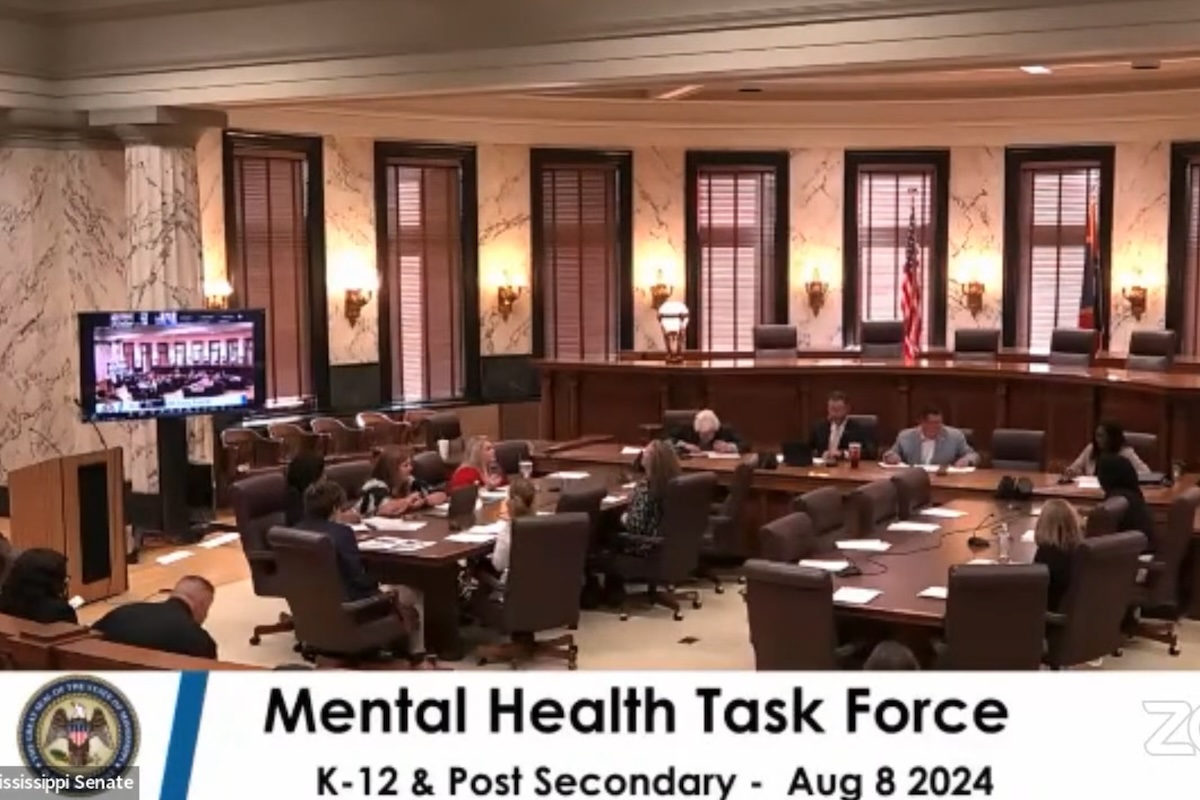 Read more about the article Mental Health Task Force Holds Third Set of Meetings